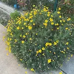 Apartamento Mahane Tirana