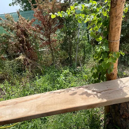 Mahane Apartament Tirana