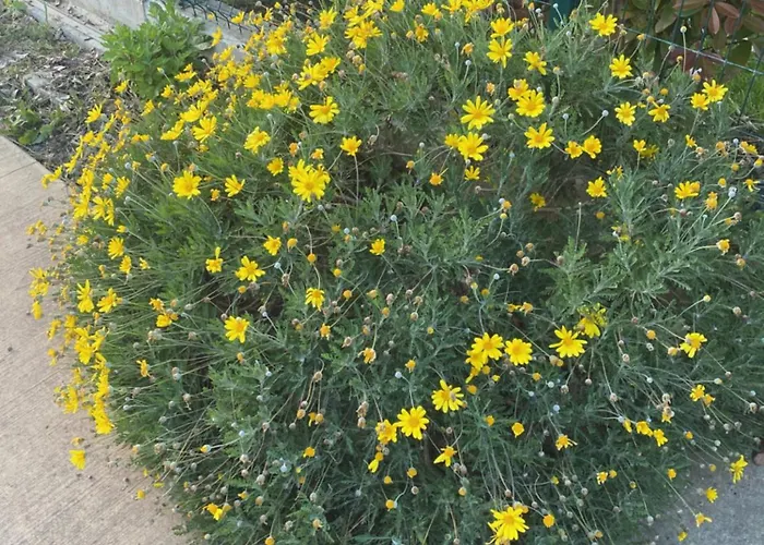 Appartement Mahane Tirana